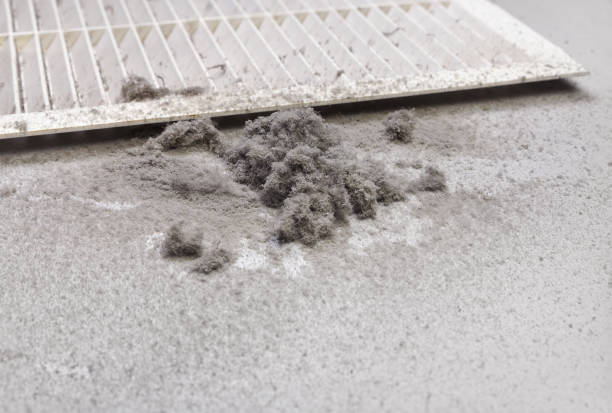 Best Home Air Vent Cleaning  in Bent, NE