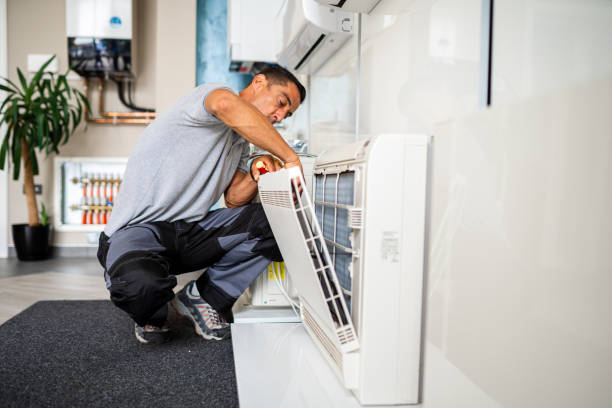 Best Air Vent Cleaning Services  in Bent, NE