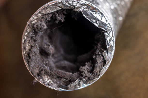Best Duct Cleaning Specialists  in Bent, NE